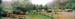 fvac2001_01