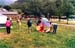 fvac2001_24