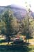 fvac2001_58