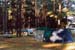 fvac2002_01